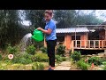 Journey to build a farm - Earn money and buy lovely flowers to plant