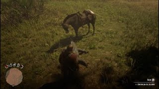 Red Dead Redemption 2 Gator Eggs Location #2