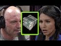 Tulsi Gabbard on the Corruptive Power of Money in Politics