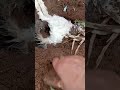 جابو ليا ربي في طريقي باش نكرم الحمد لله دائما و أبدا 0649095261