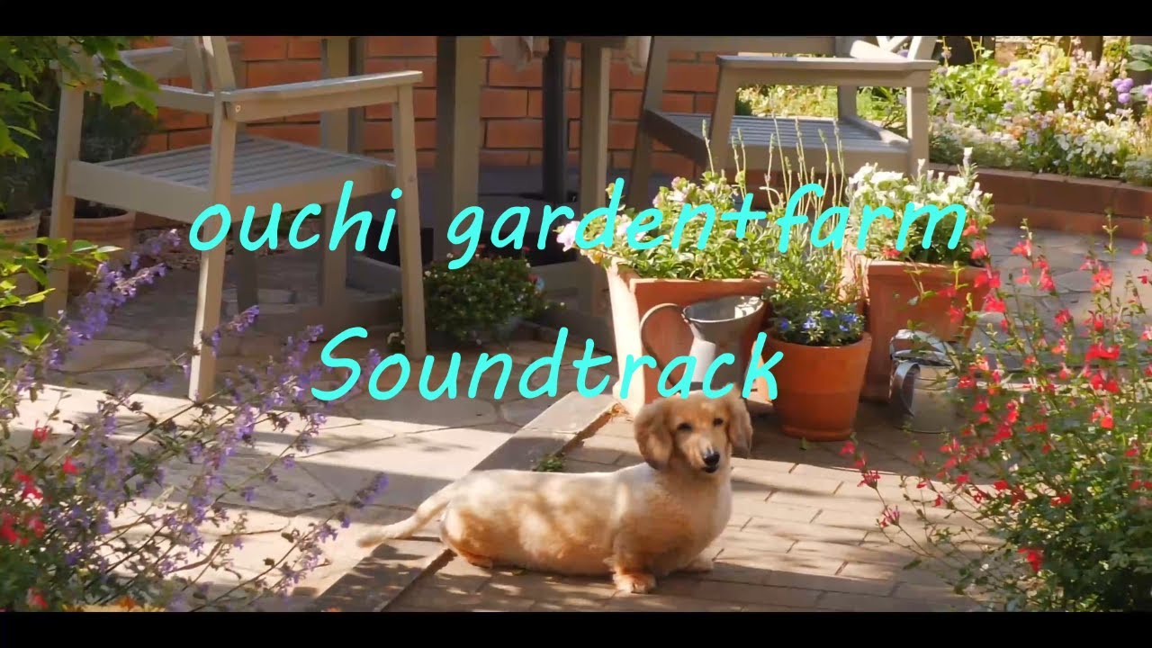 【おうちガーデンSoundtrack】前回の動画の音楽♪を初夏の庭のダイジェスト版でお届けします。【playlist & compilation video 】