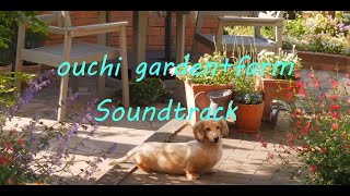 【おうちガーデンSoundtrack】前回の動画の音楽♪を初夏の庭のダイジェスト版でお届けします。【playlist & compilation video 】