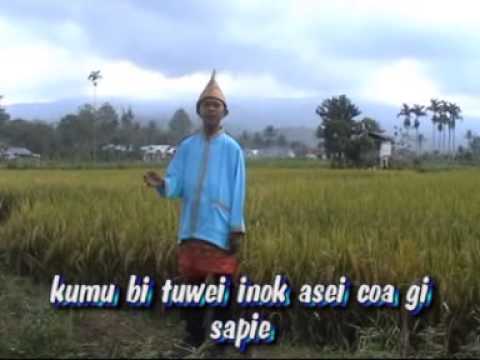Inok oi inok