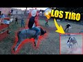 LES SUELTO LOS TOROS A ANTRAX, BYVIRUZZ, DOMINGUERO Y MANUEL RIVERA EN RANCHO | ALFREDO VALENZUELA