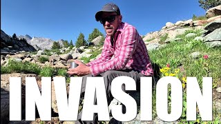 Homeless Invasion Of The Mountains 