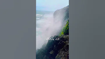 عمر دياب رمش خطاف 