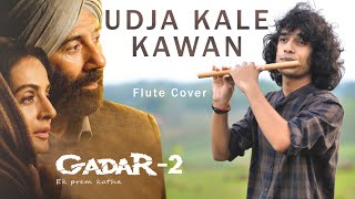 Udd Jaa Kaale Kaava | Gadar 2 | Flute Cover | Instrumental | Divyansh Shrivastava |