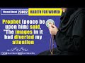 Musnad ahmed hadith no 23002 english