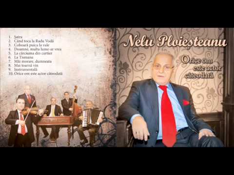 Nelu Ploiesteanu - Satra