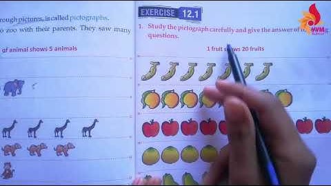 CLASS 2 MATHS CHAP 12 DATA HANDLING AND PATTERNS PART   1