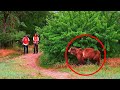 ATAQUES SURPRESAS de animais filmados na câmera