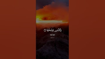 سورة الشمس….ارح سمعك 😴| #قرآن #تلاوة_خاشعة #راحة_نفسية #احمد_العجمي #اكسبلور #تابعوني #لايك