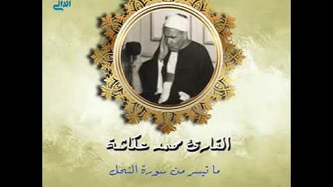 تلاوة من عبق التاريخ بصوت القارئ محمد عكاشة رحمه الله (صدي صوت)
