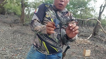Mikat Burung rambatan paruh merah di jamin ampuh dengan trik ini