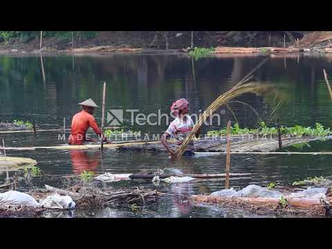 ভিডিও: একটি সাধারণ অরিগামি লোটাস ফুল কীভাবে তৈরি করবেন: 14 টি ধাপ