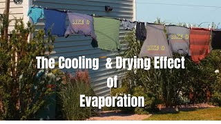 Famous Evaporation: The Science Behind it Net Worth