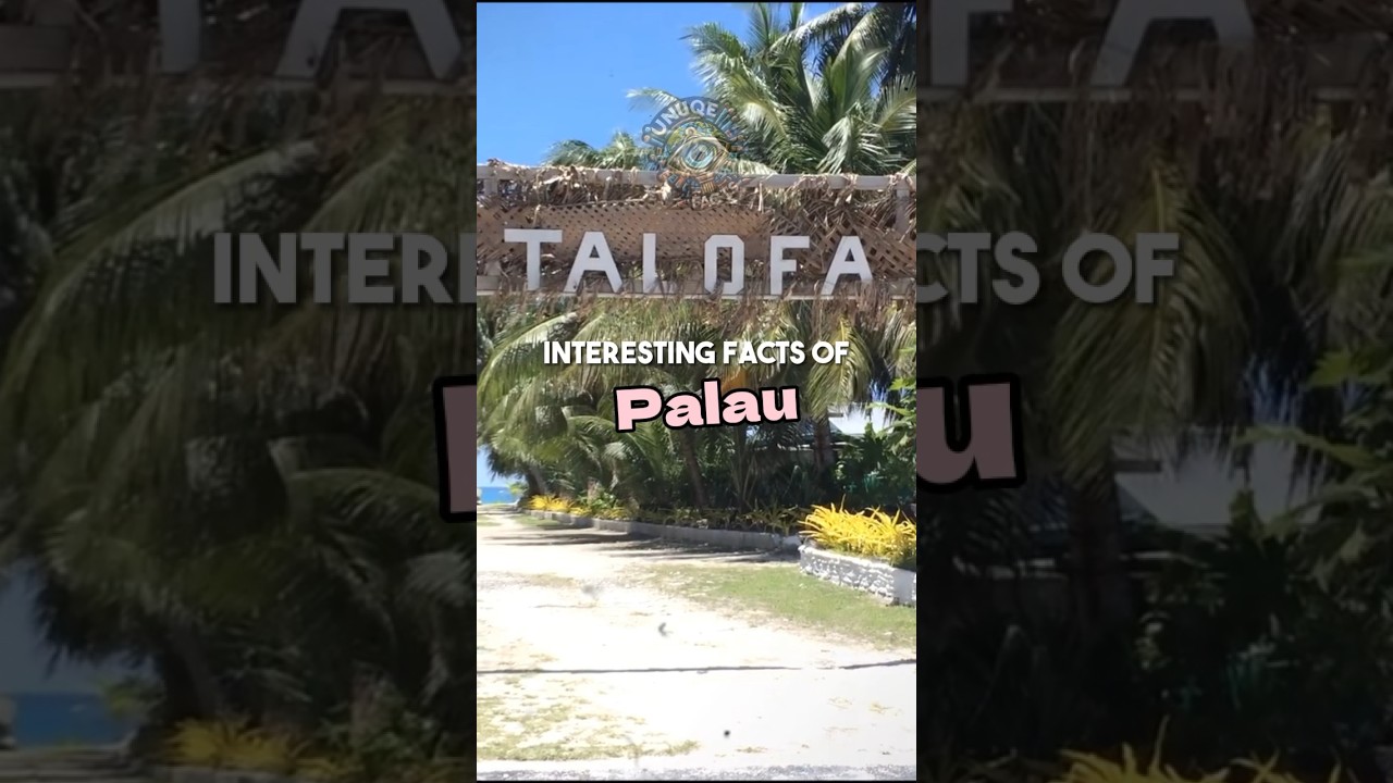 Interesting Facts of Palau! 🤯😲😍