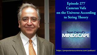 Mindscape 277 Cumrun Vafa On The Universe According To String Theory