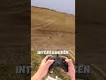 VÖGEL mit FPV gefilmt 🎥🦅 #fpv #fpvcinematic