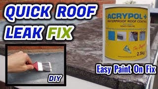 Quick Roof Leak Fix You NEED To Know : Choose Acrypol (DIY)