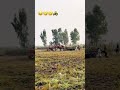 Tractor py tractor lag GIA #sugercane #385 #belarustractor #farming #sugercanefarming #tractor