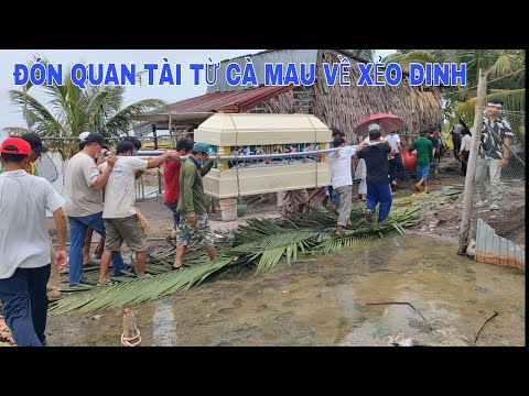 Video QUAN TÀI TỪ CÀ MAU ĐƯỢC VỀ XẺO DINH AN BIÊN ĐỂ AN TÁNG. - youtube
