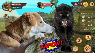 Dog Sim Online 'Level Up 112' Dog Animal Simulator Games Build A Family Android Gameplay Video #52