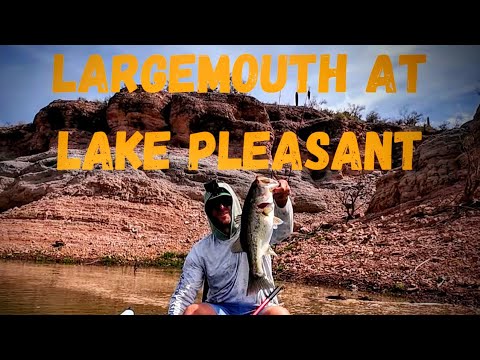 Bass fishing Lake Pleasant