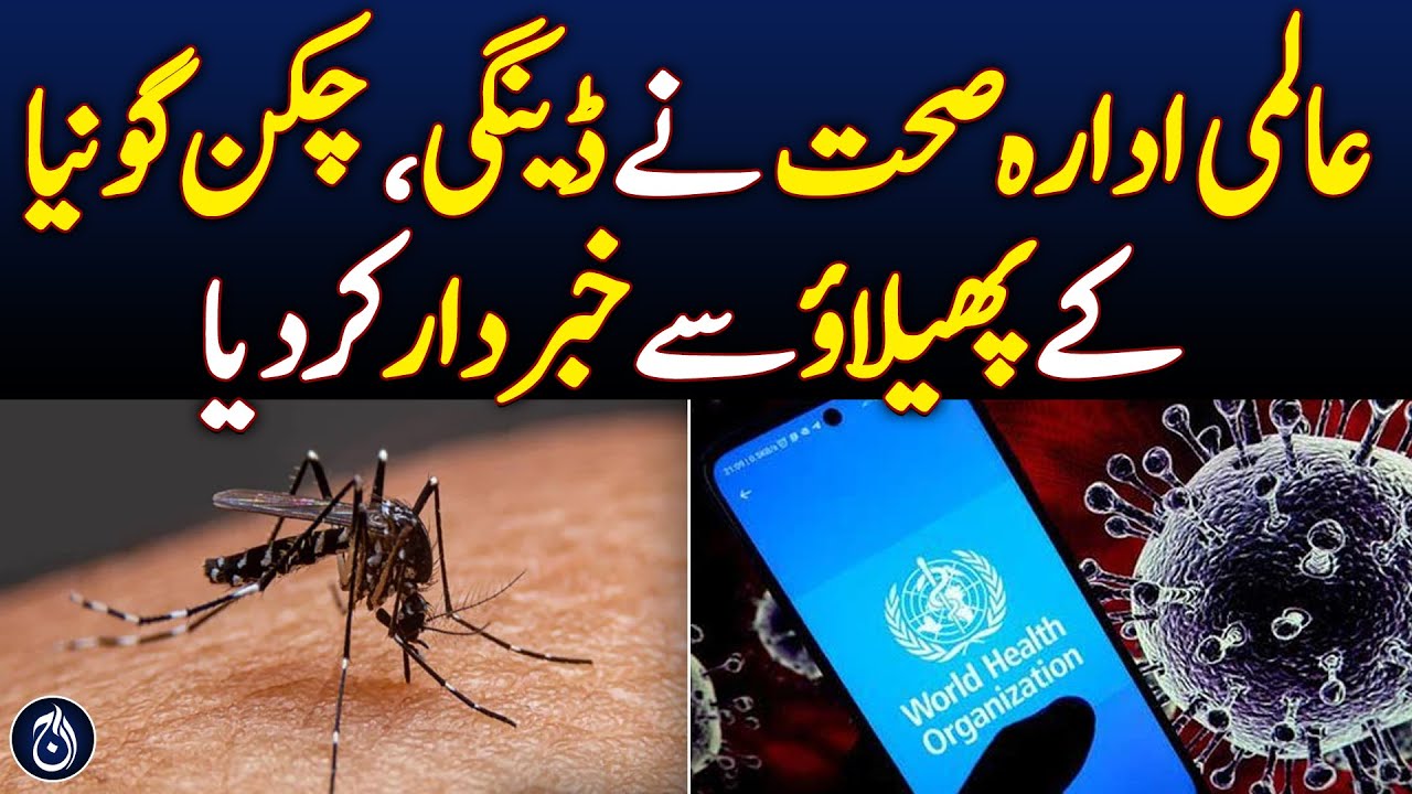 World Health Organization warns of spread of dengue, chikungunya - Aaj ...