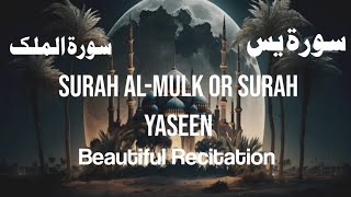 "Surah Mulk & Surah Yaseen Explained | Quranic Guidance"