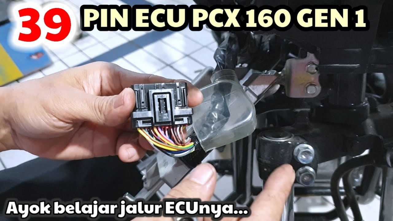Jalur Kabel  Pin ECU/ECM PCX 160 Gen 1 
