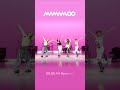 [it's Live] COMING UP NEXT 💐 #마마무 #잇츠라이브