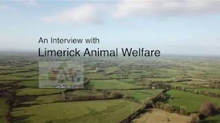 Limerick Animal Welfare interview