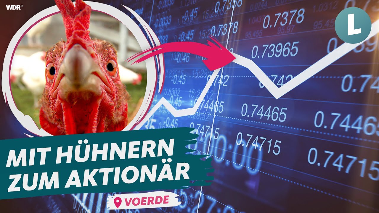 Eier von Hühnern aus besonderer Haltung | WDR  Lokalzeit Land.Schafft.