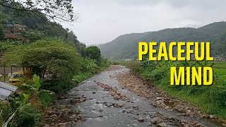 Relaxing Nature Sounds - River Flowing, Wild Birds Chirping | Stress Relief, Sleep Aid, Meditation