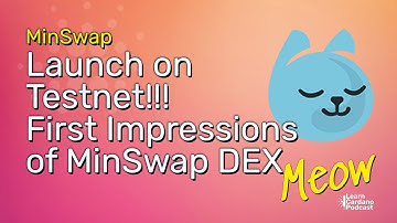 MinSwap Live on Testnet! Playing Around & First Impressions of the DEX