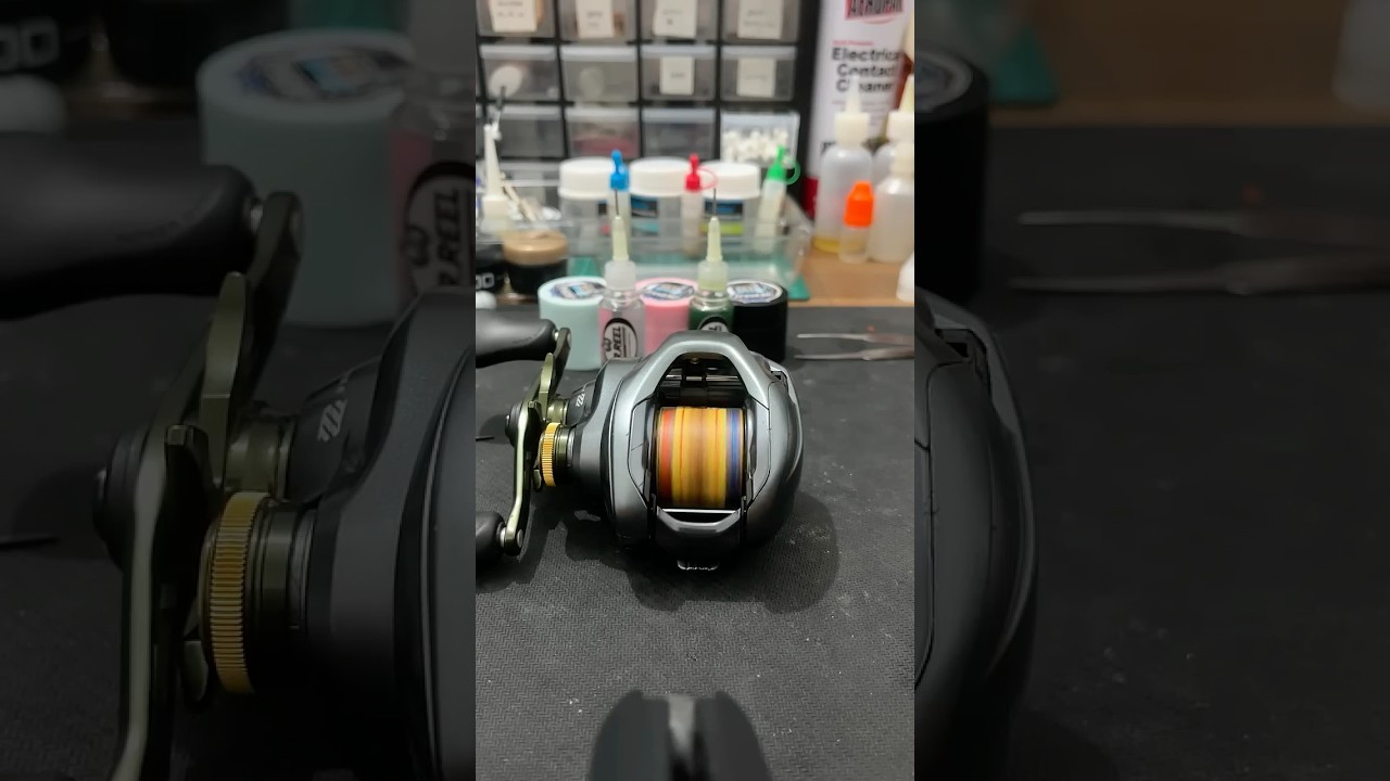 Shimano Curado DC Service done 