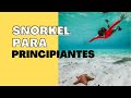 SNORKEL para principiantes 🔴/ Como aprender a Snorkelear / Cozumel