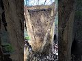 I came across this survival shelter hunting for an abandoned mine #abandoned #fallout #outdoors