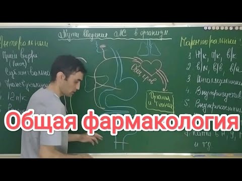 Видео: Что из следующего является фармакодинамическим методом изучения биодоступности?