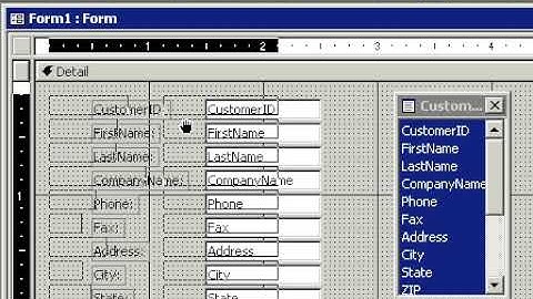 Microsoft Access 101 (for Access 2003) Lesson 11. Customer Form