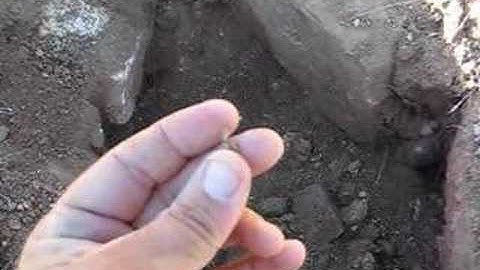 Minelab GPX-4500 Metal Detector Finds Gold Nugget Part 2