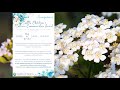 Servicio Conmemorativo Anual (Annual Memorial 2023)