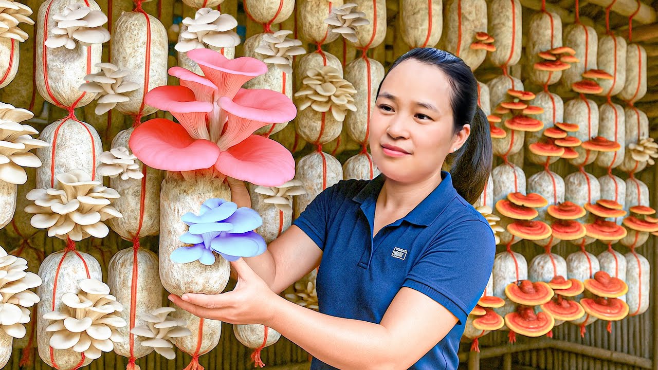 Harvesting 200kg Homegrown Oyster Mushroom & Kohrabi to Sell at the Market, Cooking a Delicious Meal