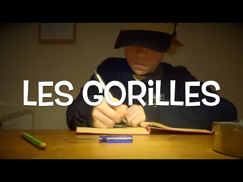 Téléchargement gratuit Images Les Blagues D Oscar Les Gorilles Youtube le plus cool salutations