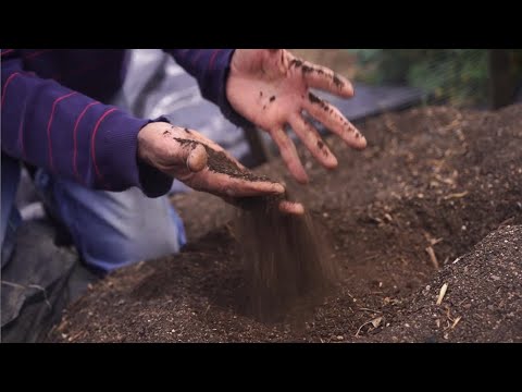 Video: ¿Cuáles son los componentes de un suelo fértil?