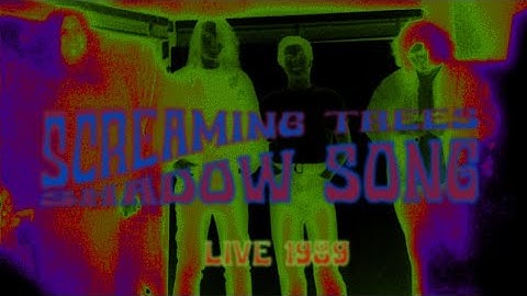 Screaming Trees-Shadow Song (Live 1989 Posthof, Linz, Austria)