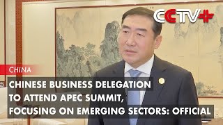 Chinese Business Delegation to Attend APEC Summit, Focusing on Emerging Sectors: Official