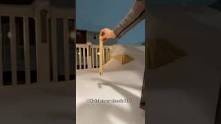 Heavy Snow Storm in NJ: 9 Inch Accumulation Check 📏❄️