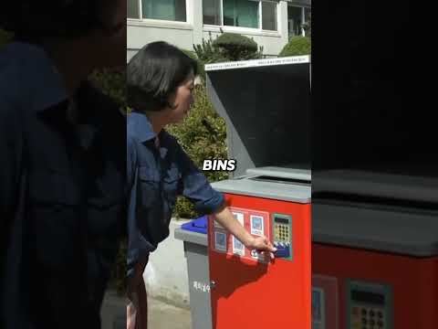 Why Korea is